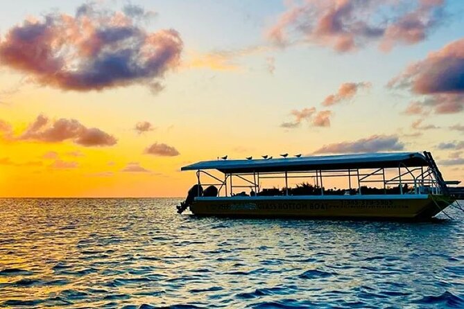2 Stop Reef Snorkel and Glass Bottom Boat Adventure - The glass-bottom boat is not just a backup plan