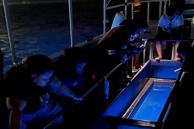 2 Stop Reef Snorkel and Glass Bottom Boat Adventure - Price and practical value at $35