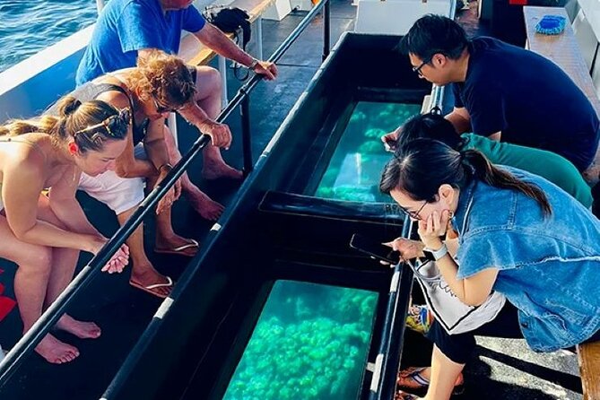 2 Stop Reef Snorkel and Glass Bottom Boat Adventure - Stop one: a shipwreck turned marine habitat