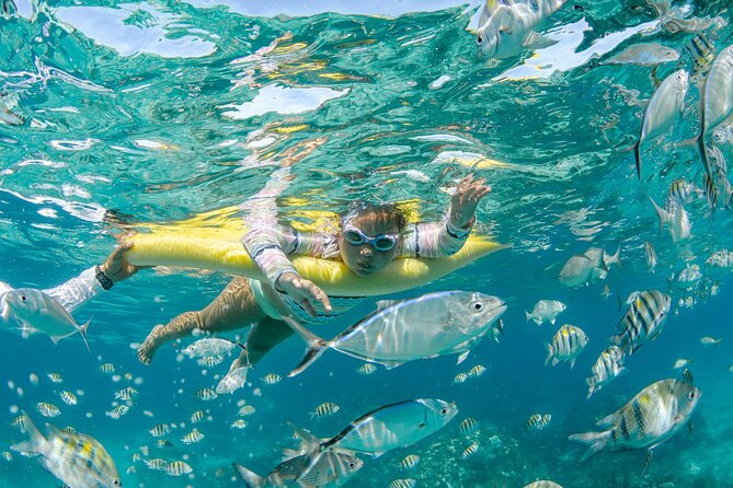 3 Hour Private Charter on Stingray City with Snorkeling - Crew service and what to expect on board