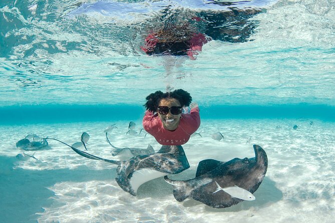 4 hour Private Boat charter to Stingray City, Snorkeling and More - Why a private boat changes the Stingray City experience