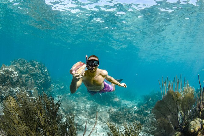 4 hour Private Boat charter to Stingray City, Snorkeling and More - Optional stops let you shape the four-hour route