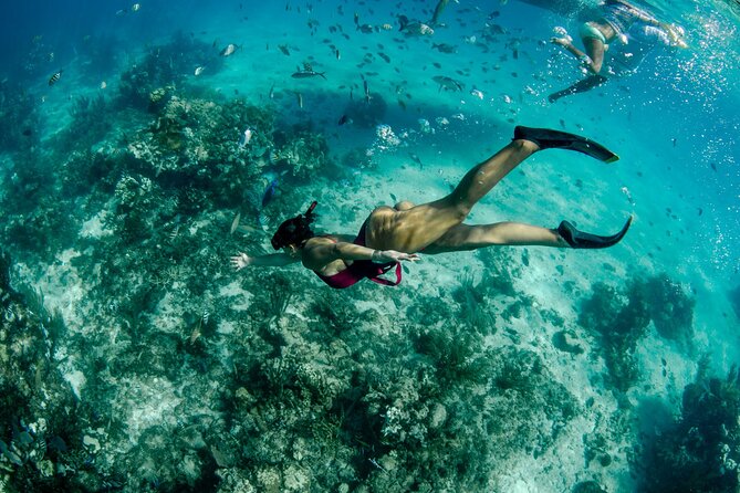 4 hour Private Boat charter to Stingray City, Snorkeling and More - Pickup and timing need special attention for cruise passengers