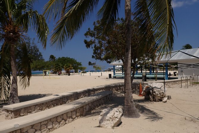 4-Stop Stingray, Snorkel, Star Fish & 7 Mile Beach (Family Owned) - Is $85 a Fair Price?