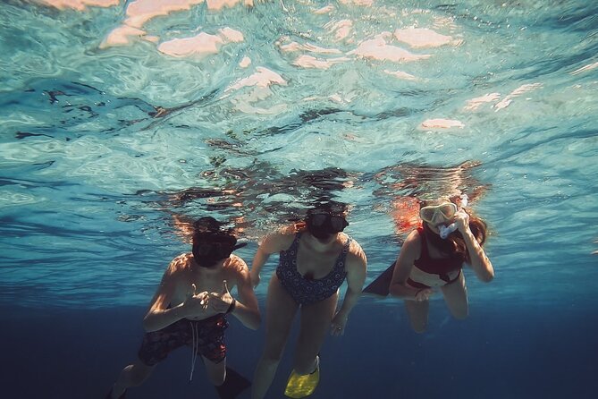 Acquarius Stingray City and Snorkel Tours - Stingray City is the clear highlight
