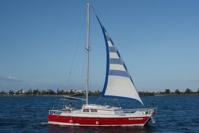 Acquarius Stingray City and Snorkel Tours - Starfish Point is calm, colorful, and brief