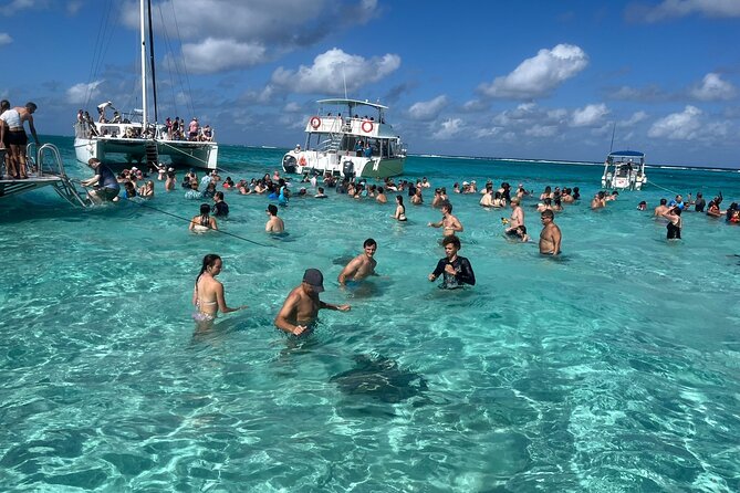 Aquaholic Charters: Private 1.5 - 4Hrs Cayman Luxury Adventure - Kaibo and Rum Point for a meal stop