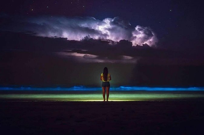 Bioluminescent Bay Adventure in Grand Cayman - Why the moon matters