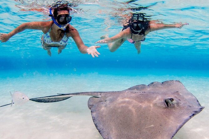 Cayman Adventure: Starfish Point, Stingray City and Coral Gardens - What the three-hour Cayman trip is really like