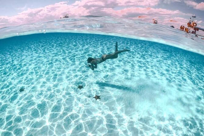 Cayman Adventure: Starfish Point, Stingray City and Coral Gardens - Starfish Point: a gentler final stop