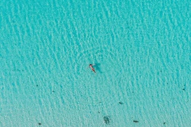 Cayman Adventure: Starfish Point, Stingray City and Coral Gardens - Transport and meeting details deserve attention