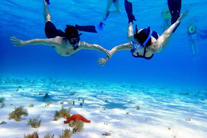 Cayman Adventure: Starfish Point, Stingray City and Coral Gardens - What to pack for the boat