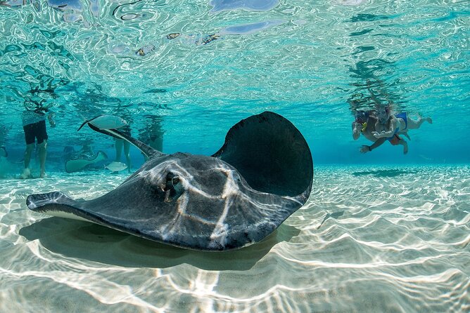 Cayman Combo Tour: Stingrays, Starfish Point and Crystal Caves - The schedule and transfer question
