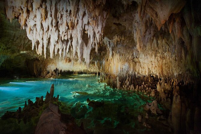 Cayman Combo Tour: Stingrays, Starfish Point and Crystal Caves - Who will enjoy this Cayman combination