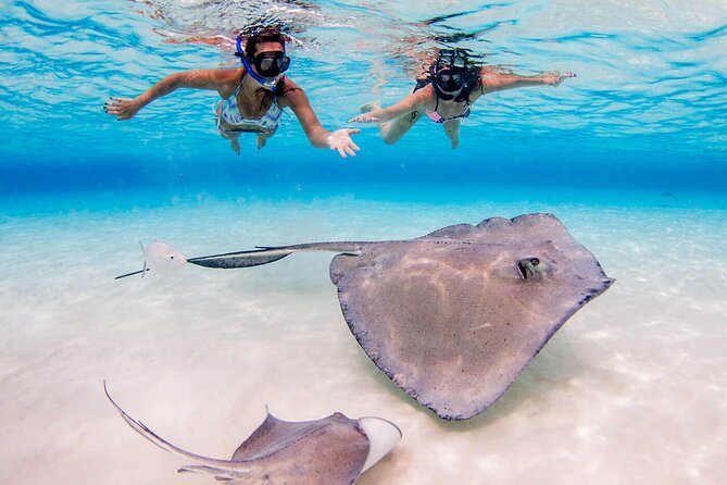 Cayman Combo Tour: Stingrays, Starfish Point and Crystal Caves - Which day should you choose?