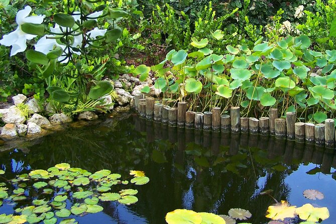 Cayman Crystal Caves & Pedro St James Castle or Botanical Garden - Who should book this tour