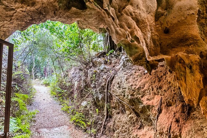 Cayman Crystal Caves Tour in Grand Cayman - Why the Crystal Caves are worth seeing