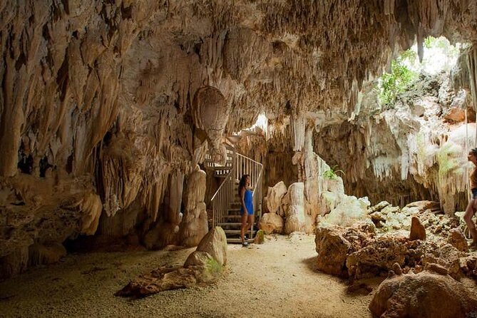 Cayman Crystal Caves Tour in Grand Cayman - A forest walk before the cave entrance