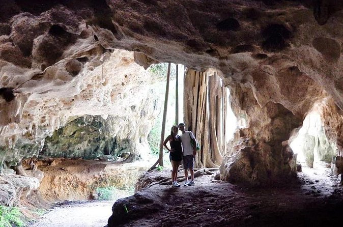 Cayman Crystal Caves Tour in Grand Cayman - The value of the guide