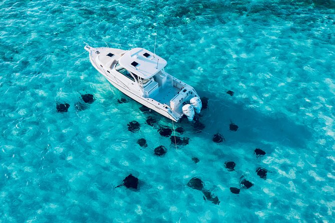 Cayman Private Luxury Charters - Stingray City, Snorkel, & More - Stingray City gives the charter its purpose