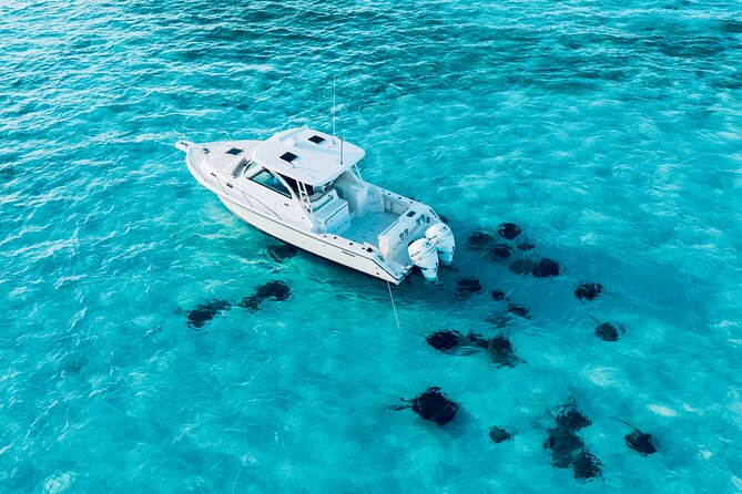 Cayman Private Luxury Charters - Stingray City, Snorkel, & More - Timing matters if you are visiting from a cruise ship