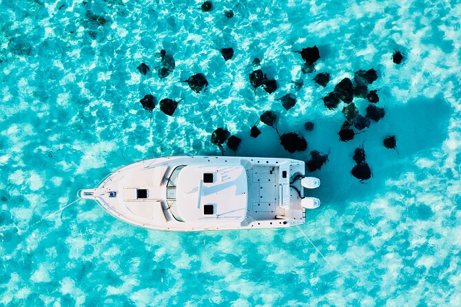 Cayman Private Luxury Charters - Stingray City, Snorkel, & More - Starfish Point keeps the day easy and family-friendly