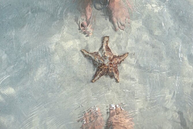 Cayman Ultimate Tour: Stingrays, Starfish Point and Crystal Caves - Why Stingray City deserves the first hour