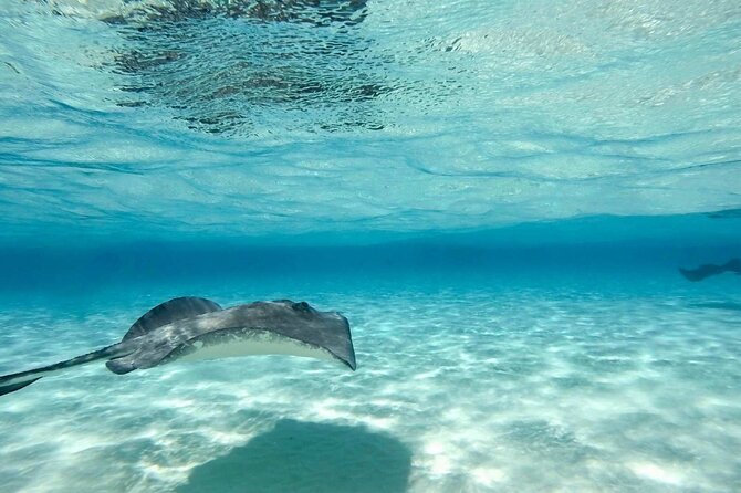 Cayman Ultimate Tour: Stingrays, Starfish Point and Crystal Caves - The day-of-week rule can change your choice