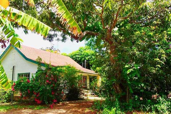 CaymanVisitor Hide & Seek GeoTour Self-Drive Tour - What the two-day timing really means