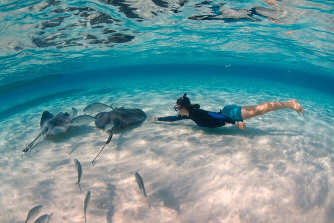 CaymanVisitor Hide & Seek GeoTour Self-Drive Tour - Caves, trails, and Blue Iguanas