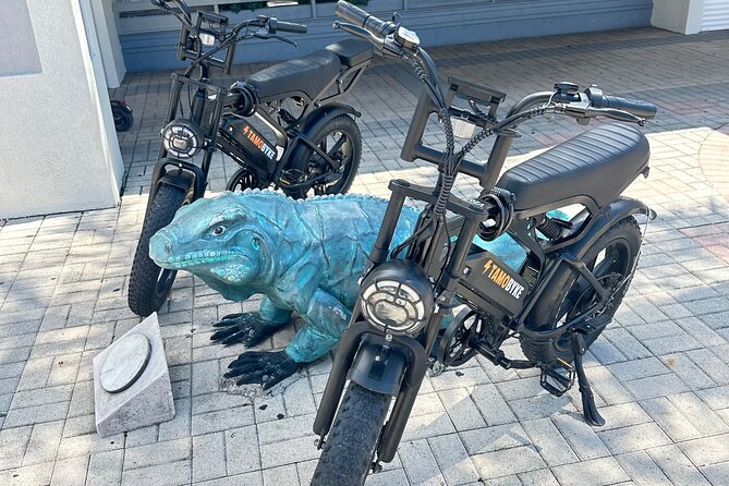 Coastal E-Bike Adventure: Full-Day Self-Guided Tour Grand Cayman - Key points at a glance