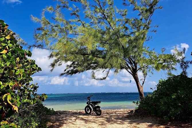 Coastal E-Bike Adventure: Full-Day Self-Guided Tour Grand Cayman - Heritage Kitchen and the Kittiwake stop