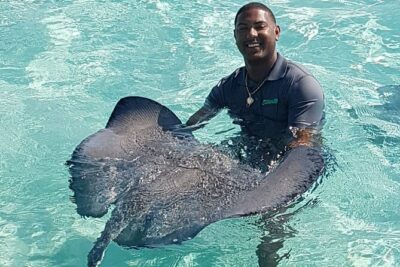 Full-Day Private Stingray City Snorkeling and Starfish Beach Tour