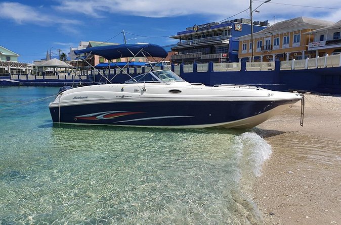 Full-Day Private Stingray City Snorkeling and Starfish Beach Tour - Coral Gardens or the Barrier Reef