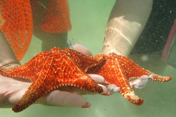 Get Anchored - Stingray City, where the water stays shallow