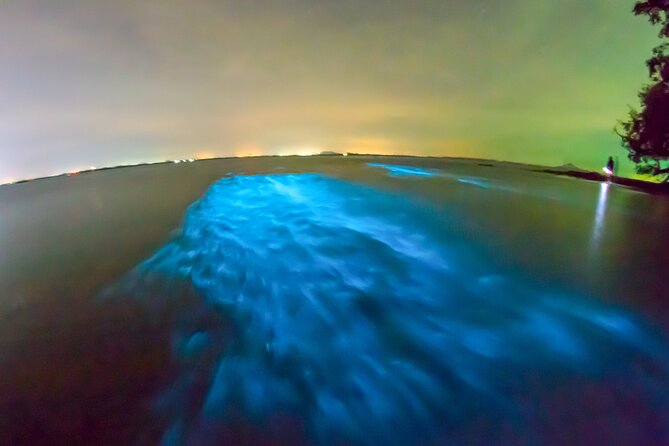 Grand Cayman Bioluminescence Adventure - What the $143.10 price covers