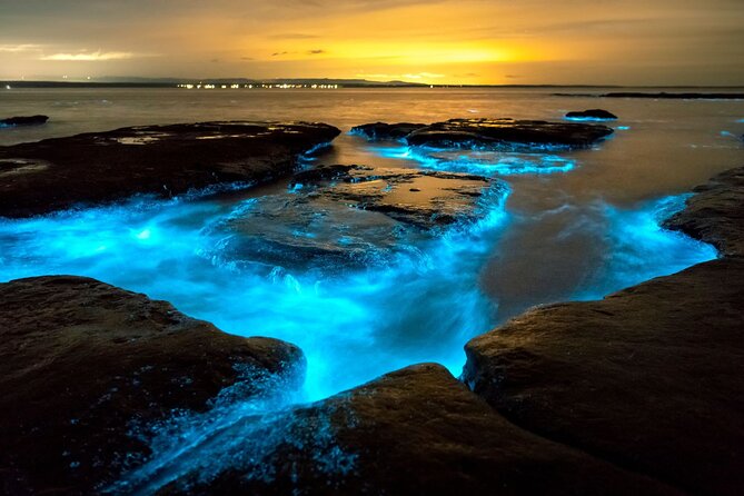 Grand Cayman Bioluminescence Adventure - Pickup details that deserve extra care