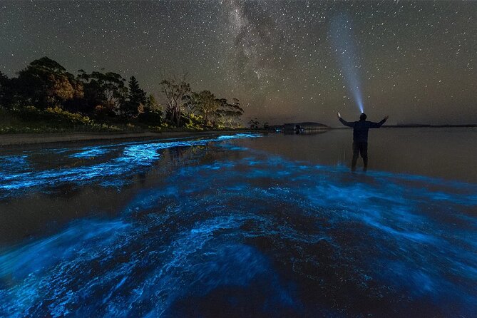 Grand Cayman Bioluminescence Adventure - The moon phase and weather can change the evening