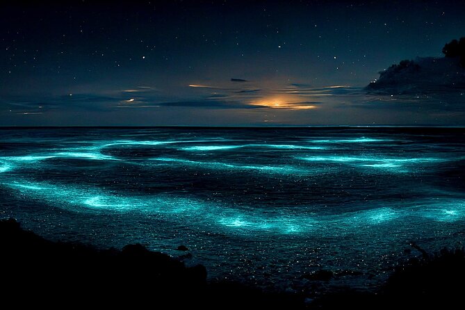 Grand Cayman Bioluminescence Adventure - From Cayman Kai to the glowing water