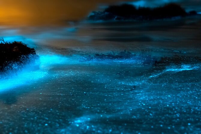 Grand Cayman Bioluminescence Experience - What the crew adds to the evening