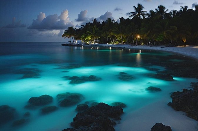 Grand Cayman Bioluminescence Experience - Is $143.10 a fair price?