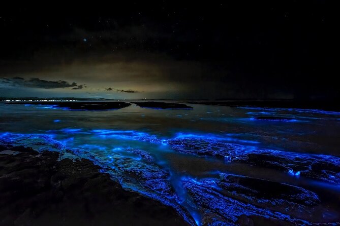 Grand Cayman Bioluminescence Experience - Reaching Cayman Kai and Bio Bay