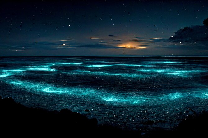Grand Cayman Bioluminescent Bay Adventure - Why Grand Cayman’s glowing water is worth seeing