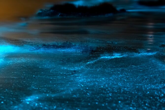 Grand Cayman Bioluminescent Bay Adventure - Moonlight, weather, and the best chance at a strong display