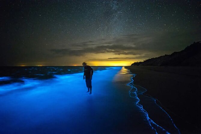 Grand Cayman Bioluminescent Bay Adventure - What the crew adds to the evening