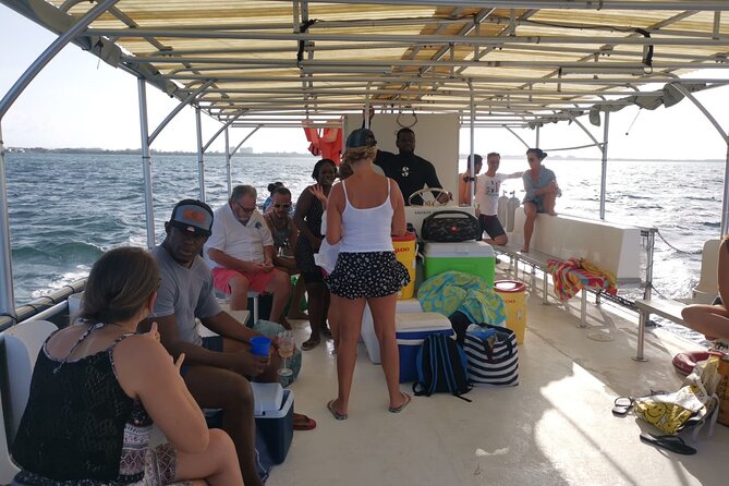 Grand Cayman Bioluminescent Bay Tour - Key points to know before booking