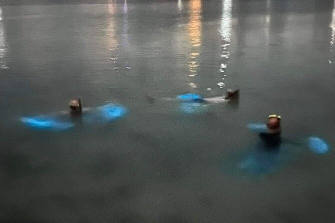 Grand Cayman Bioluminescent Bay Tour - Pickup details can make or break the evening
