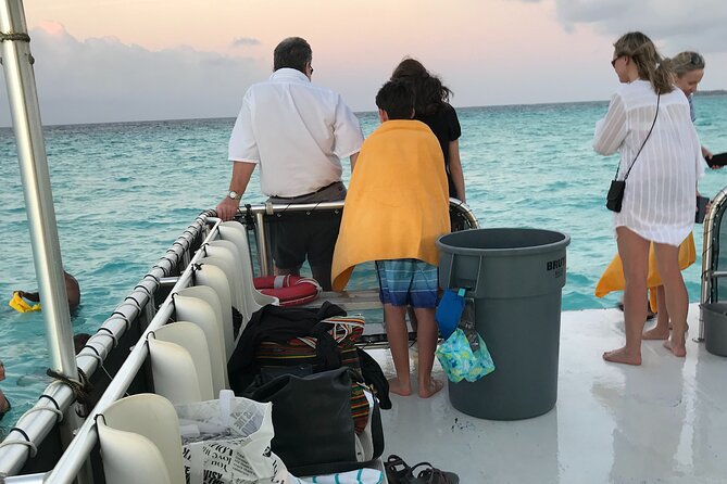 Grand Cayman Bioluminescent Bay Tour - Safety, swimming, and marine care
