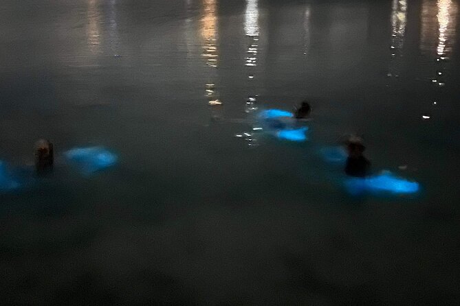 Grand Cayman Bioluminescent Bay Tour - The guides add value to a fragile setting
