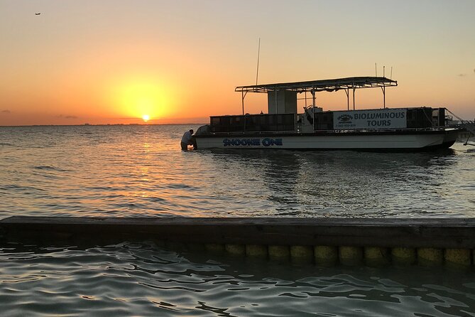 Grand Cayman Bioluminescent Bay Tour - Who will enjoy this tour most